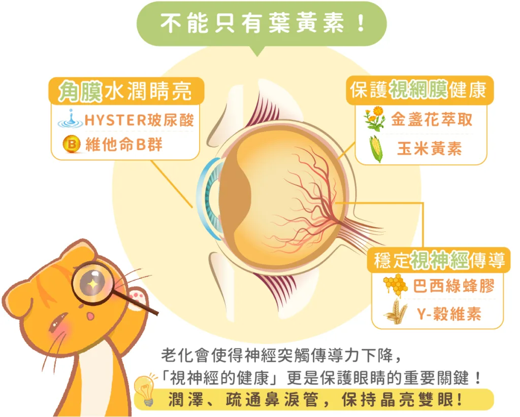 預防貓貓結膜炎問題：歸毛家族GOOD寶寵物保健。圖片來源：歸毛家族 官方網站。