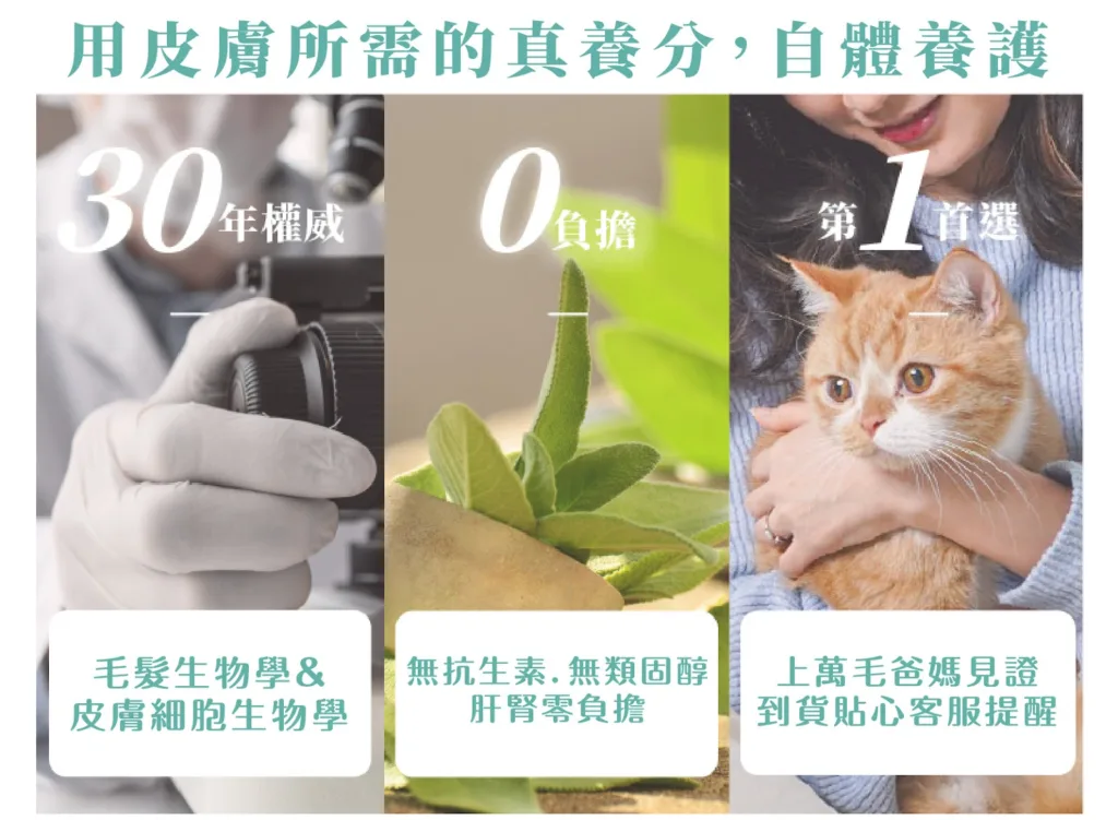改善貓貓皮膚結痂的最強助手：寵物護膚第一領導品牌「歸毛家族」。圖片來源：歸毛家族 官網。