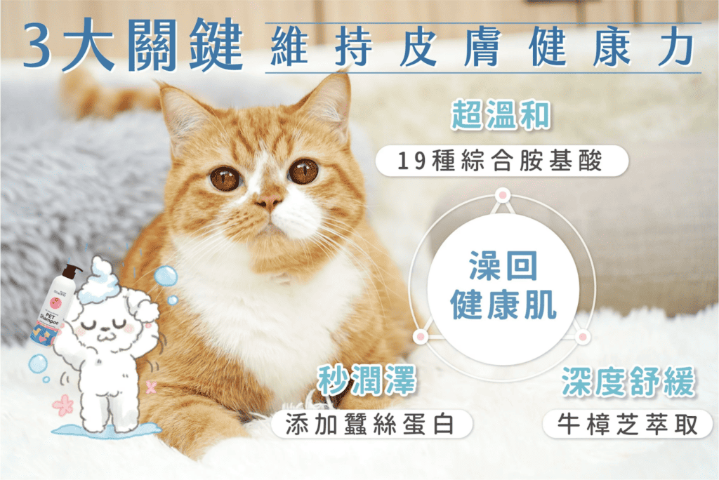 貓咪沐浴乳推薦品牌：歸毛家族。圖片來源：歸毛家族 官網。