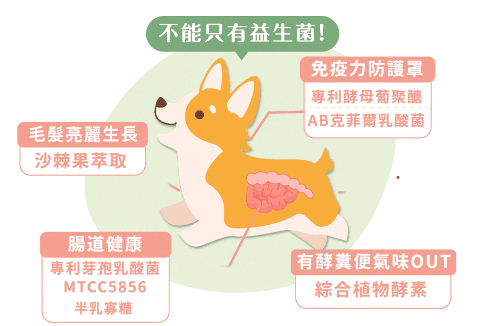 寵物保健食品推薦：歸毛家族。圖片來源：歸毛家族 官方網站。