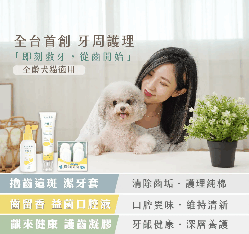 預防貓咪口炎:一口好牙全系列