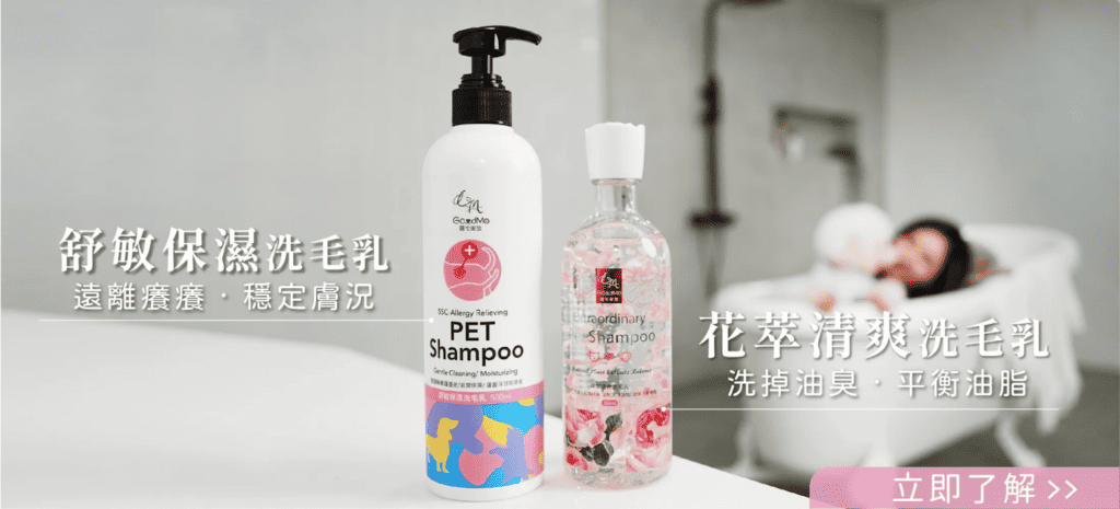 寵物洗毛精推薦品牌:歸毛家族。圖片來源:歸毛家族 官網