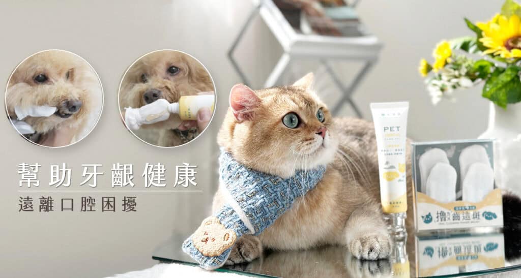 歸毛家族寵物口腔護理產品，幫助牙齦健康、遠離口腔困擾