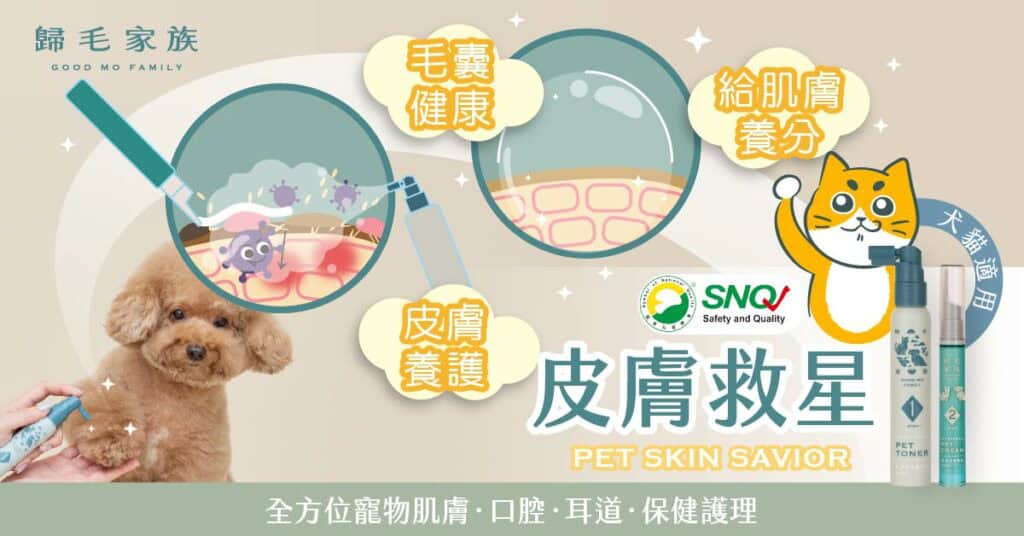 貓咪濕疹的剋星:寵物護膚第一領導品牌「歸毛家族」。圖片來源:歸毛家族 官網。