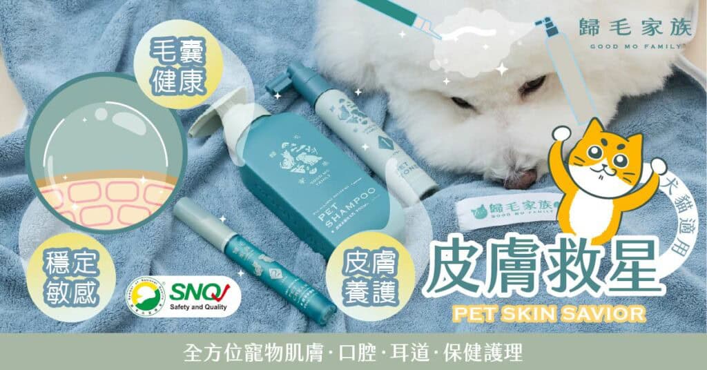 貓咪沐浴乳推薦品牌:歸毛家族。圖片來源:歸毛家族 官網。