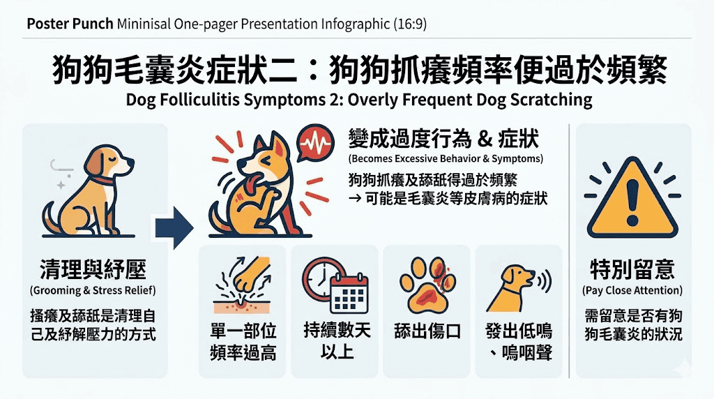 狗狗毛囊炎症狀二:狗狗抓癢頻率過於頻繁