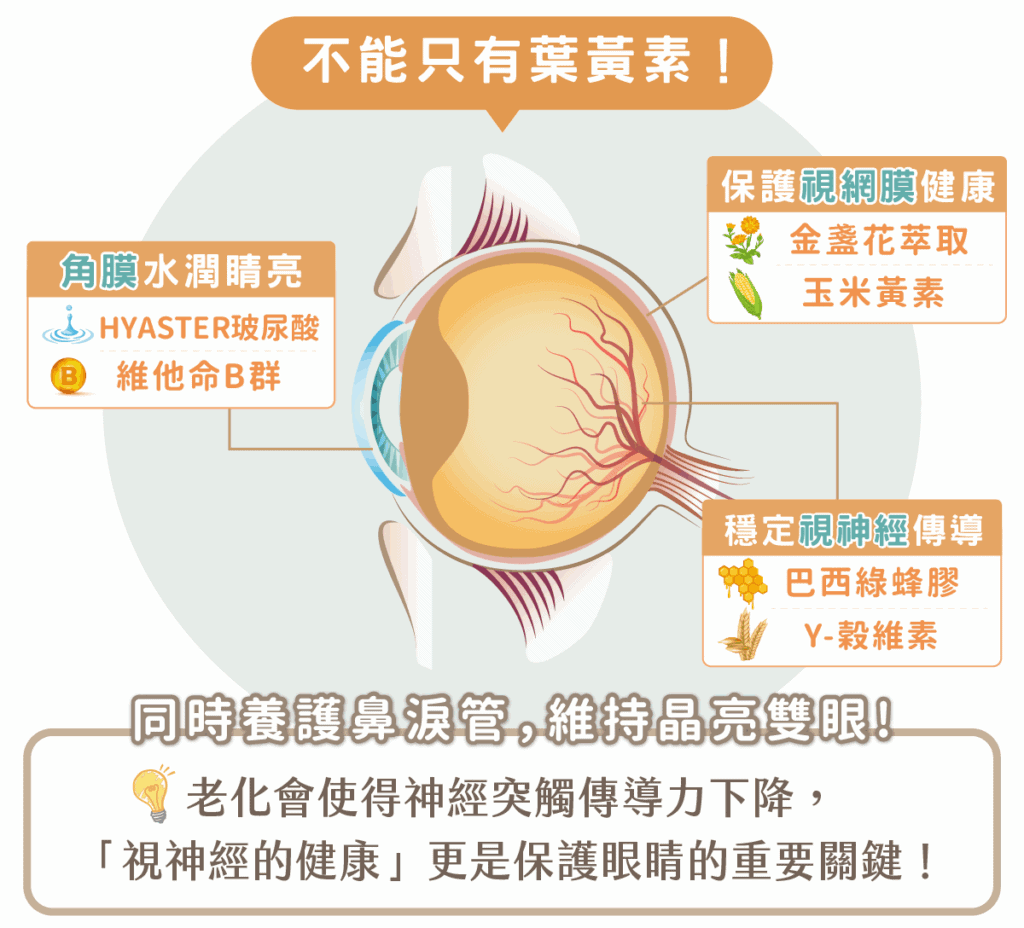寵物保健食品推薦:歸毛家族。圖片來源:歸毛家族 官方網站。