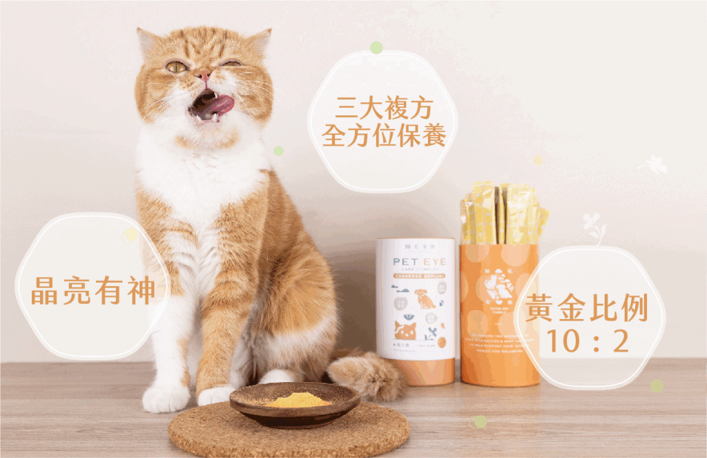 歸毛家族視力寶黃金比例