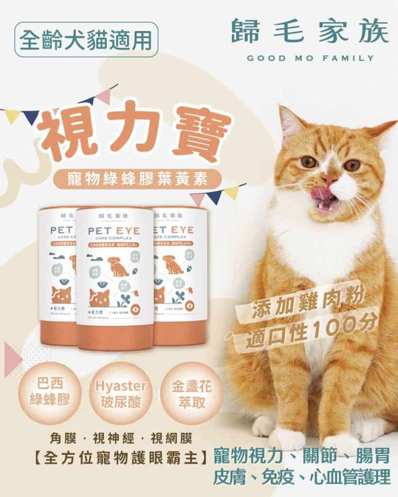 預防貓貓結膜炎問題:歸毛家族GOOD寶寵物保健。圖片來源:歸毛家族 官方網站。