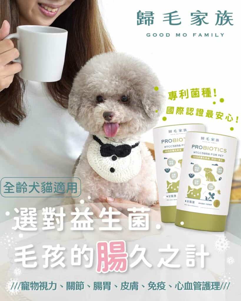 歸毛家族狗狗腸道保健食品介紹