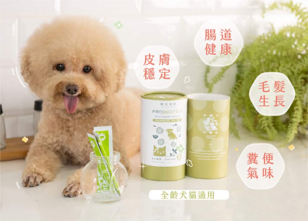歸毛家族狗狗腸道保健品功效