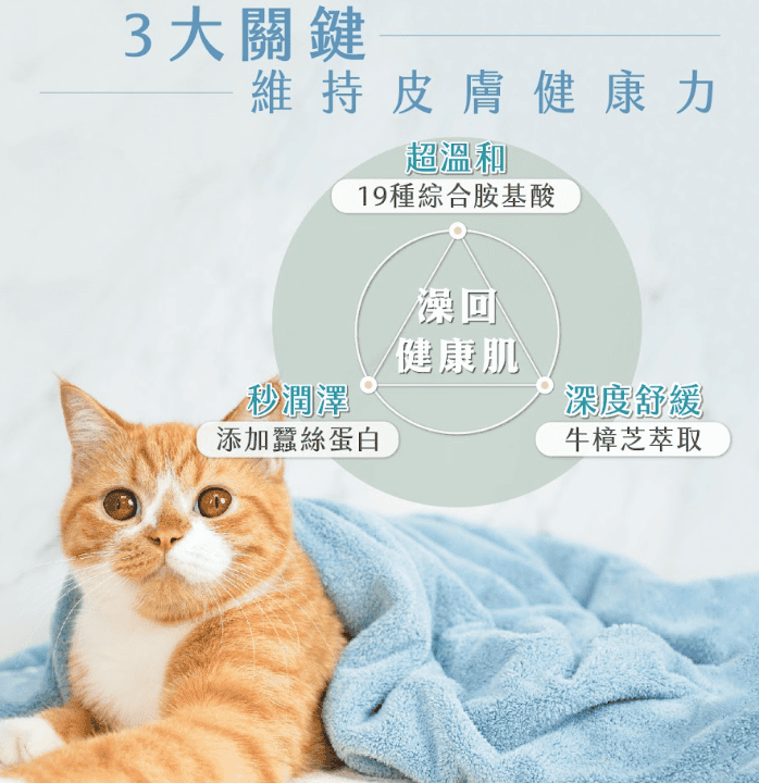 貓咪濕疹的剋星：寵物護膚第一領導品牌「歸毛家族」。圖片來源：歸毛家族 官網。