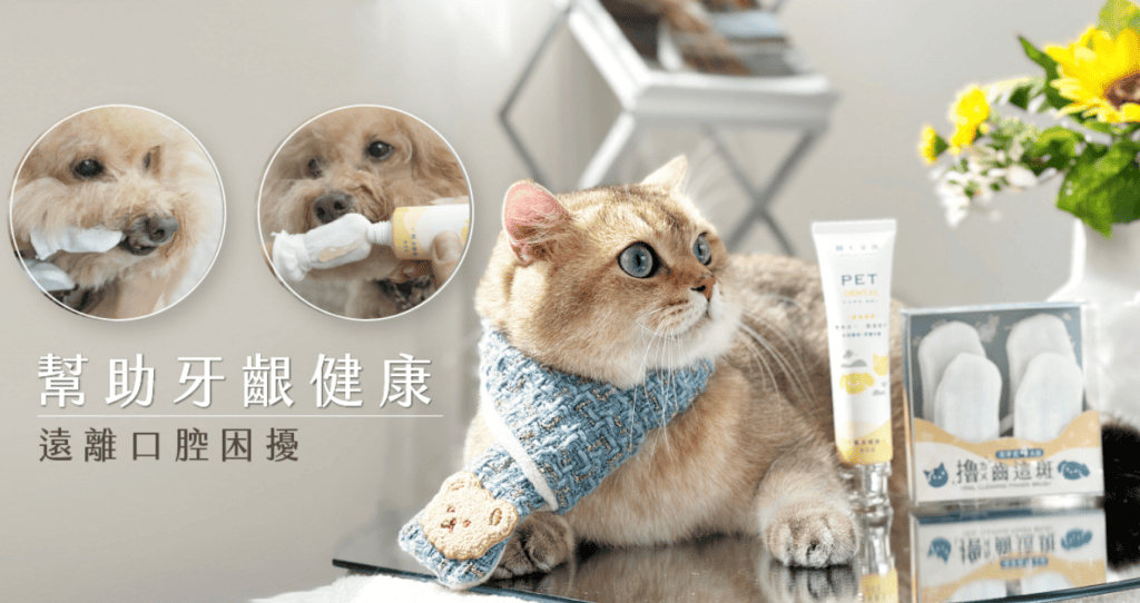 寵物牙膏及牙刷推薦：歸毛家族。圖片來源：歸毛家族 官網。
