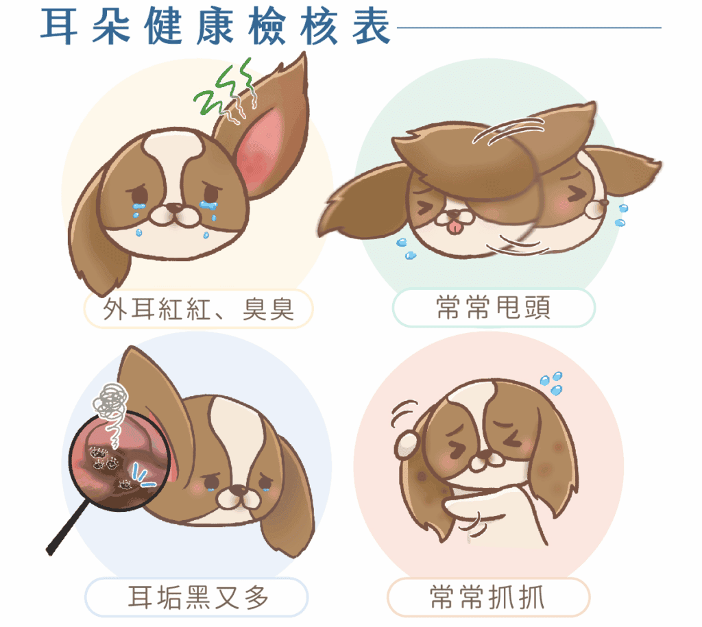 狗狗耳道健康檢核表