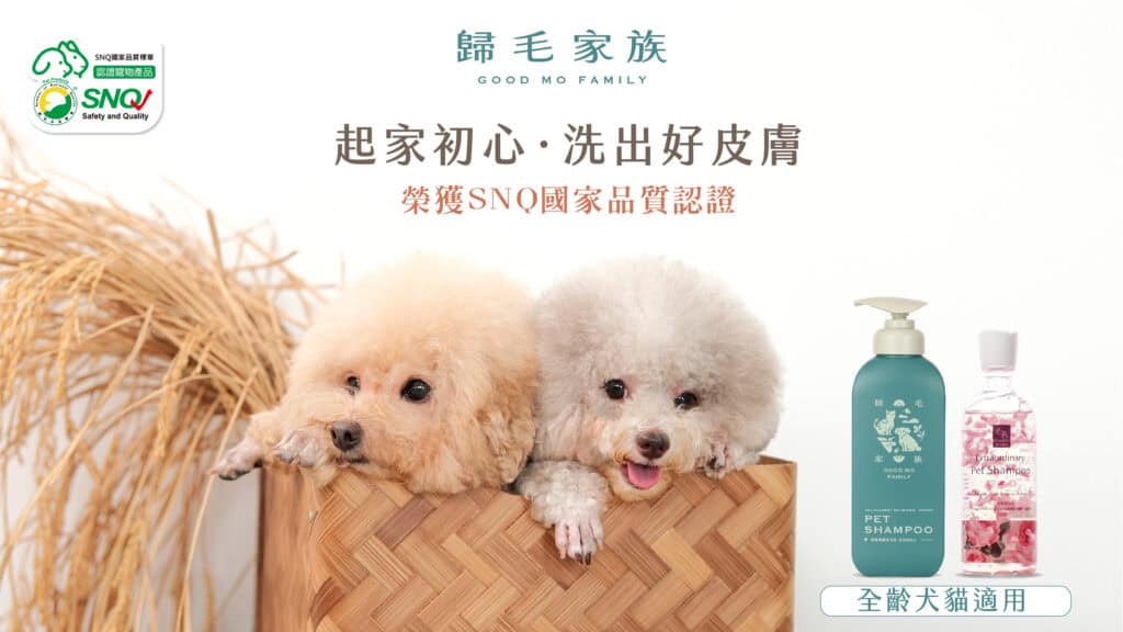 網路評價 NO.1 的貓狗用品推薦品牌 - 歸毛家族