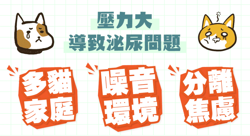 圖／三個容易導致貓咪壓力大引起泌尿、貓亂尿尿問題的原因