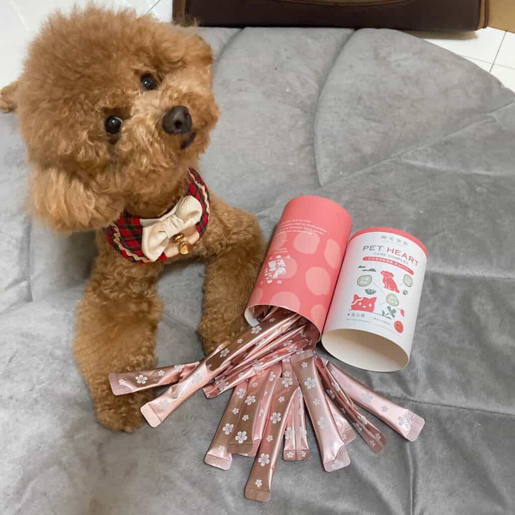 狗狗心臟保健品推薦 - 歸毛家族護心寶