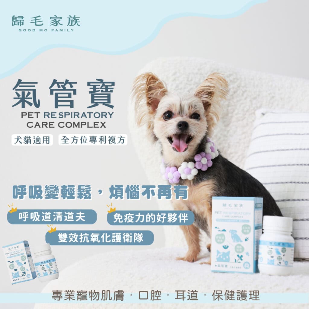 歸毛家族狗狗氣管保健食品功效