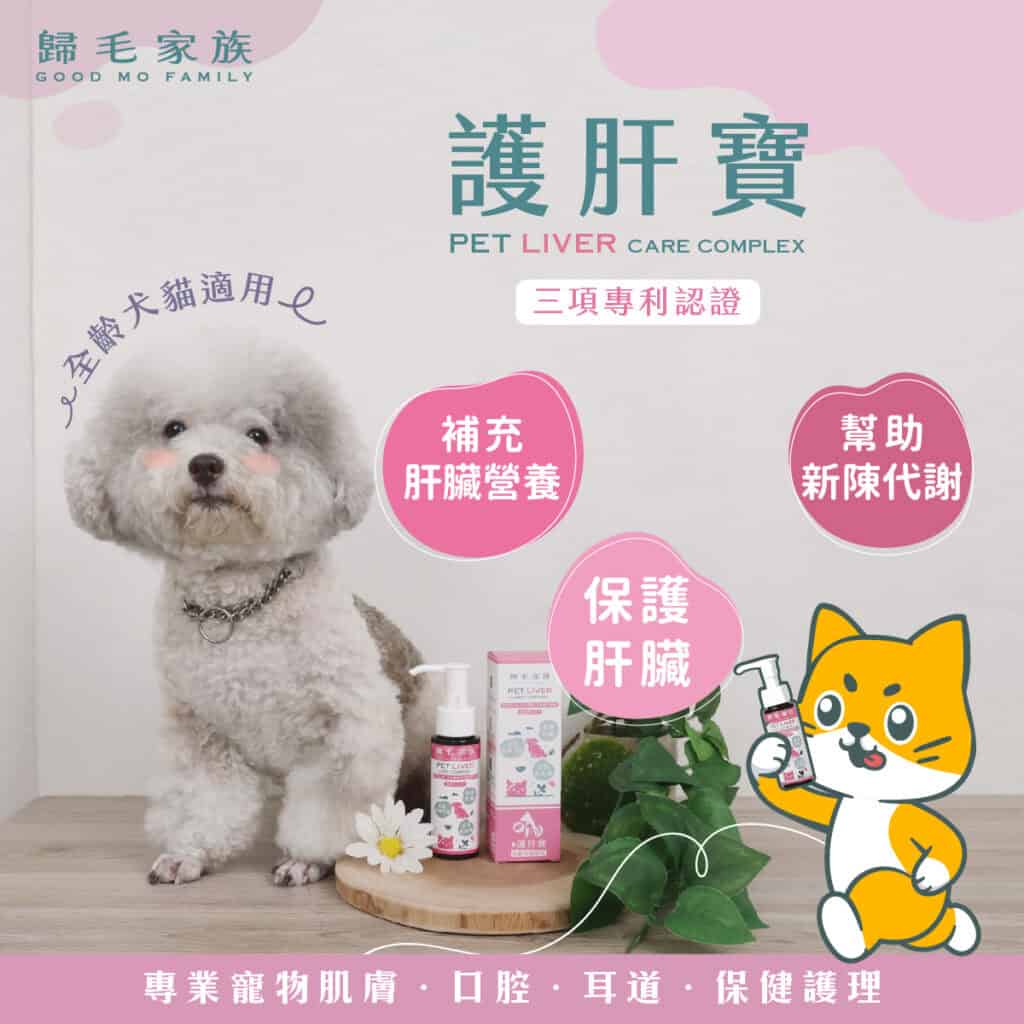 狗狗肝臟保養品推薦 - 歸毛家族護肝寶