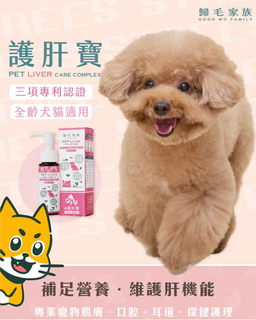 歸毛家族護肝寶全齡犬貓適用