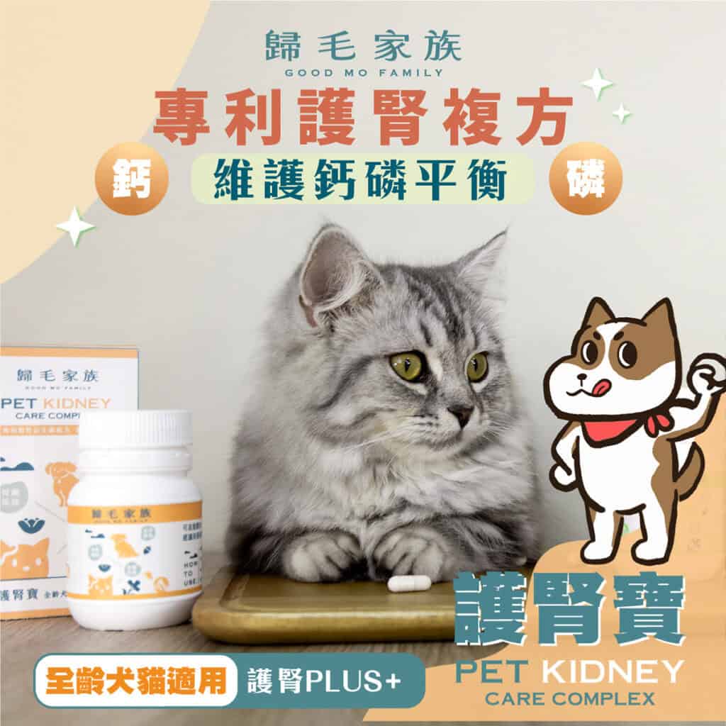 歸毛家族貓狗腎臟保健品功效