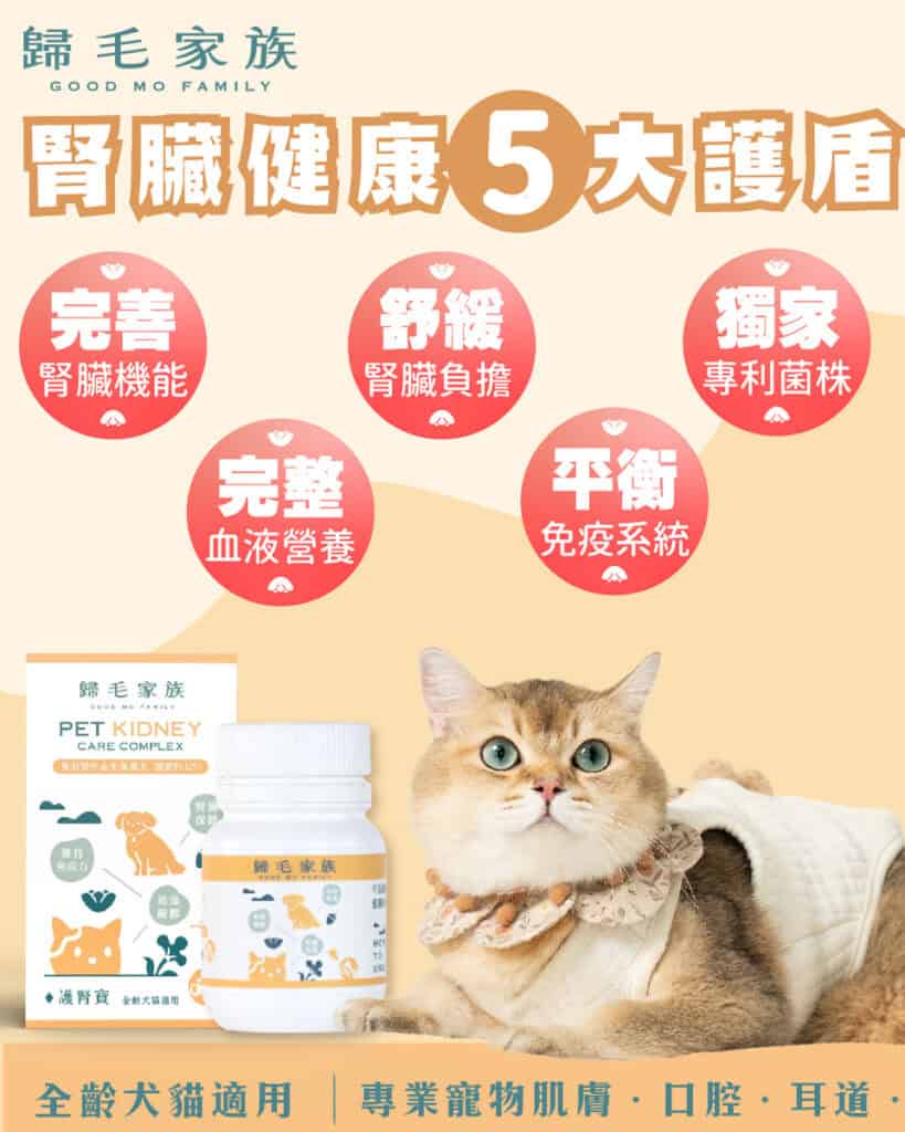 歸毛家族貓狗腎臟保健食品功效