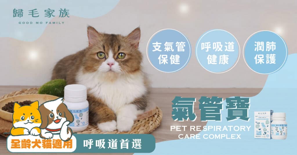 歸毛家族貓咪呼吸道保健