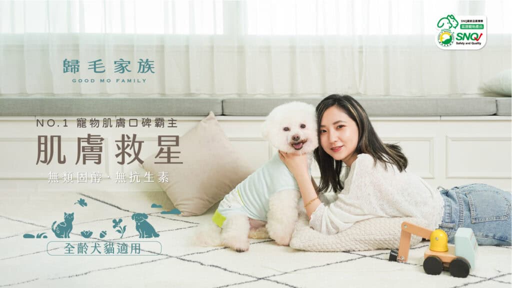 網路評價 NO.1 的寵物用品推薦品牌 - 歸毛家族