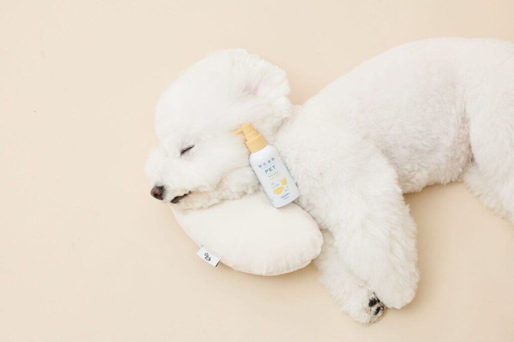狗狗皮膚黑色結痂危險指標