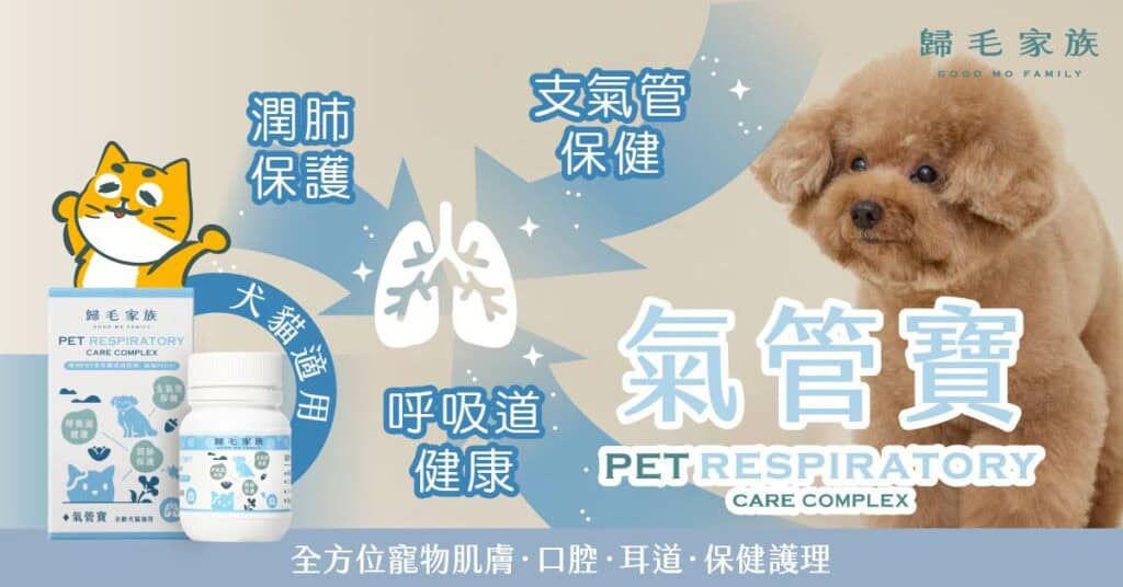 加強短吻犬氣管保健，可以讓狗狗中暑時有更好的喘氣散熱能力來應對