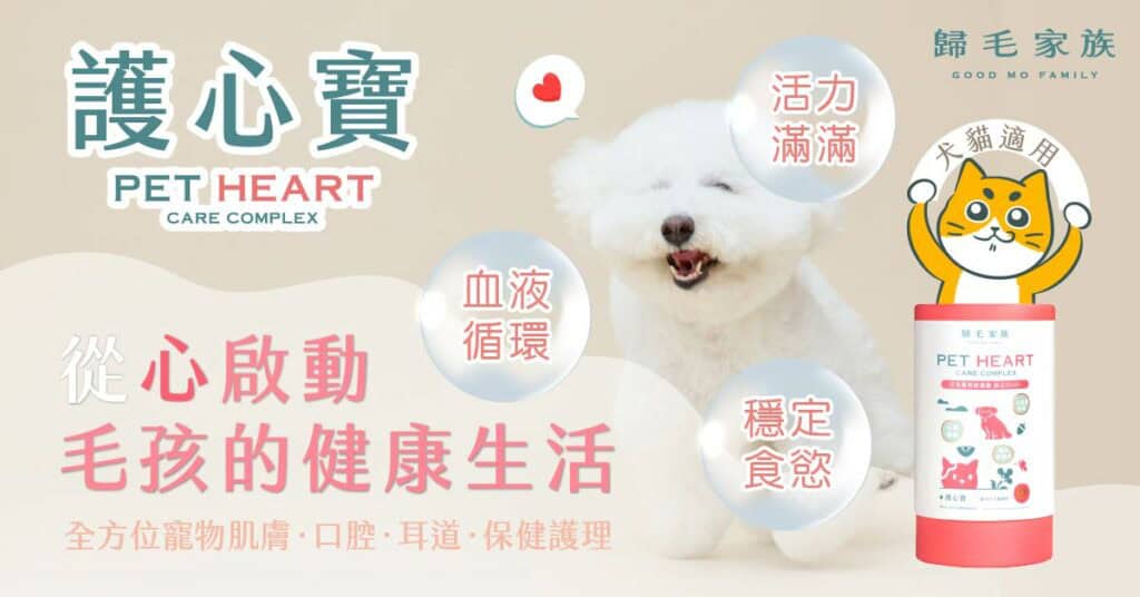 加強狗狗心血管保健，可以讓狗狗中暑時有更好的散熱能力可以應對