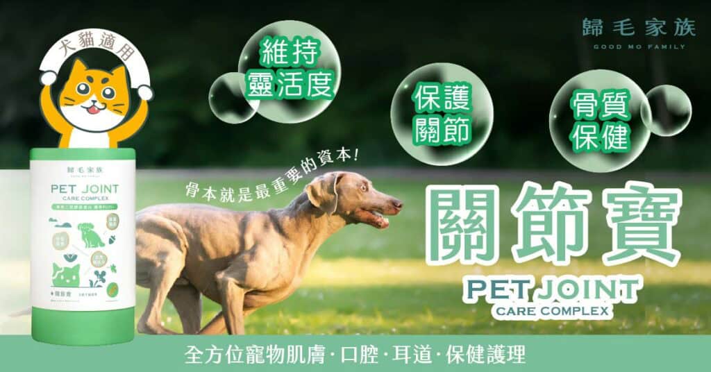 狗狗關節保健食品推薦 - 歸毛家族關節寶功效圖