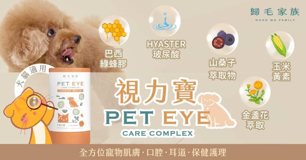 狗的視力保健