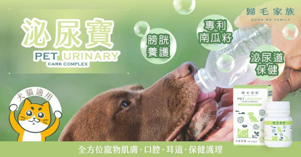 狗狗泌尿保健食品推薦：歸毛家族泌尿寶功效